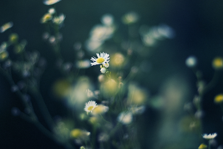 Photo by Oleg Kikin