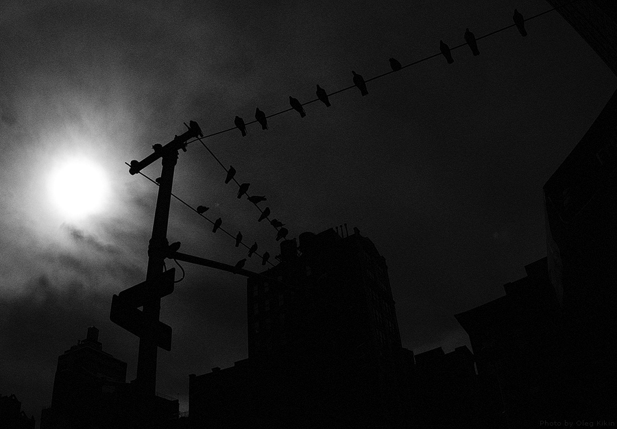 Photo by Oleg Kikin